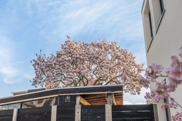 Bergse Rechter Rottekade 20, ROTTERDAM