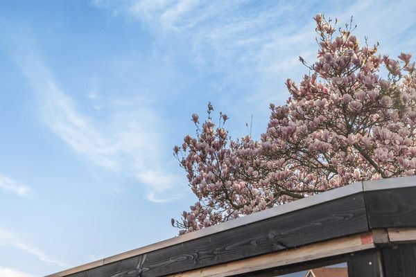 Bergse Rechter Rottekade 20, ROTTERDAM