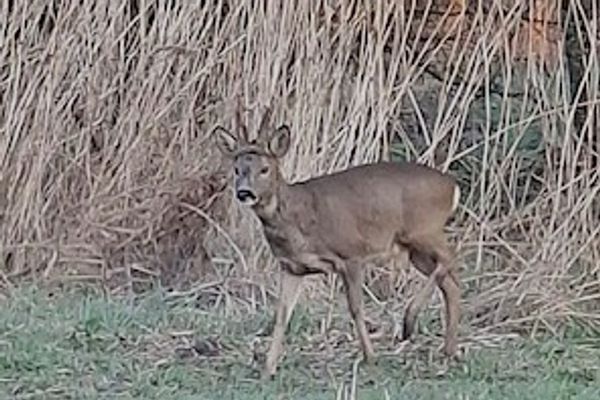 Slotvalkensteinsedijk 17, POORTUGAAL
