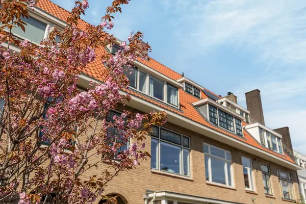 Zonnebloemstraat 70B, ROTTERDAM