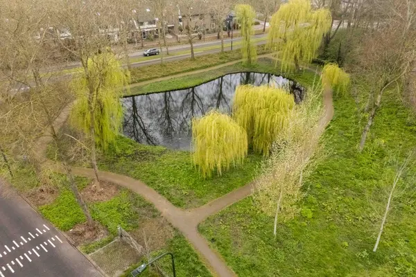 Ziedewijdsedijk 53, BARENDRECHT