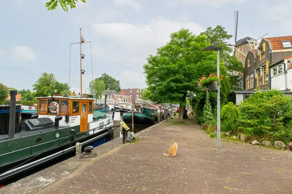 Vest 81b, GOUDA