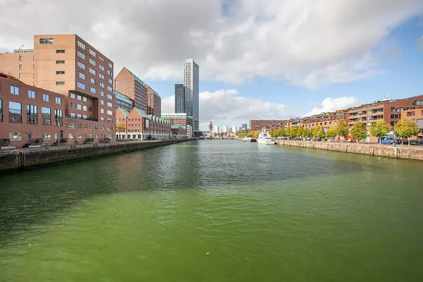 Lodewijk Pincoffsweg 486, ROTTERDAM