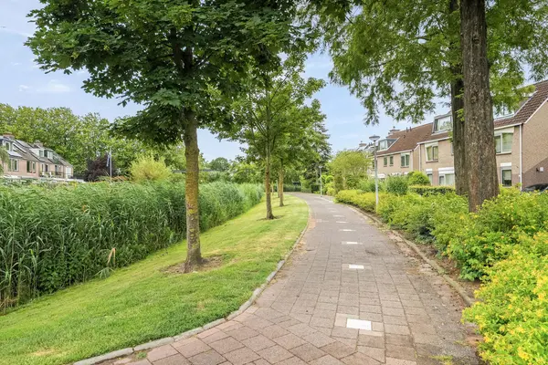 Torenmolen 163, BARENDRECHT