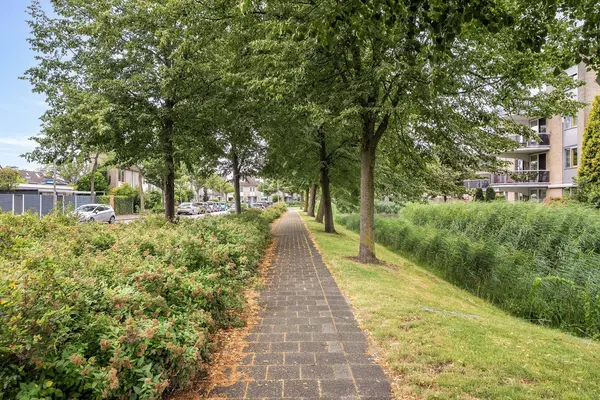 Torenmolen 163, BARENDRECHT