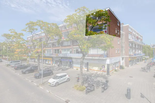 Bierens de Haanweg 103, ROTTERDAM