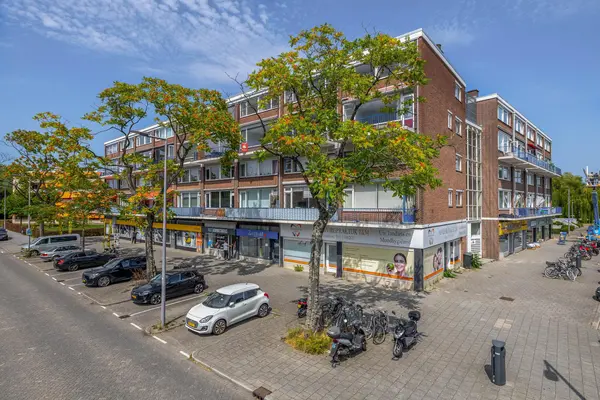 Bierens de Haanweg 103, ROTTERDAM