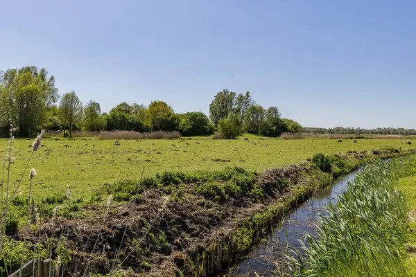 Wesdijkleede 35, BARENDRECHT