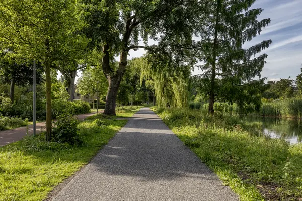 Lokhorst 32, ROTTERDAM
