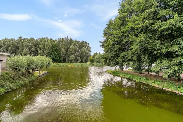 Bezeel 40, RHOON