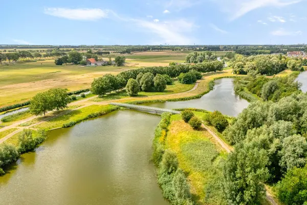 Bezeel 40, RHOON