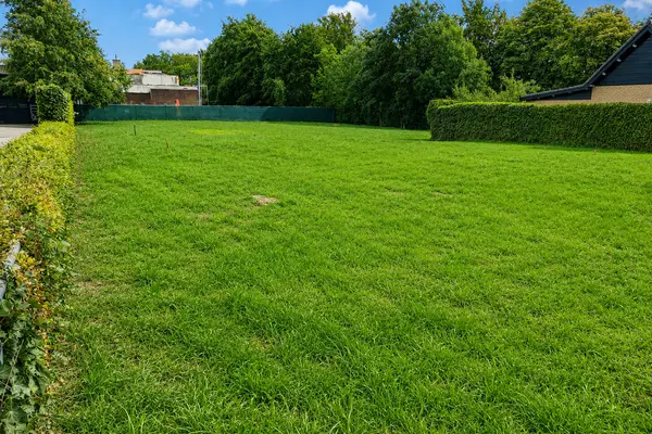 Molendijk , ROCKANJE