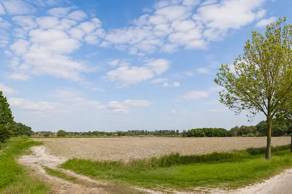 Molendijk , ROCKANJE