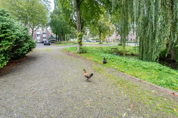 Valeriaanveld 30, WOERDEN
