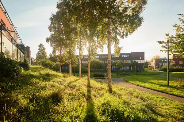 Baars 63, AMERSFOORT