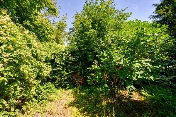 Pruimentuin 13, BARENDRECHT