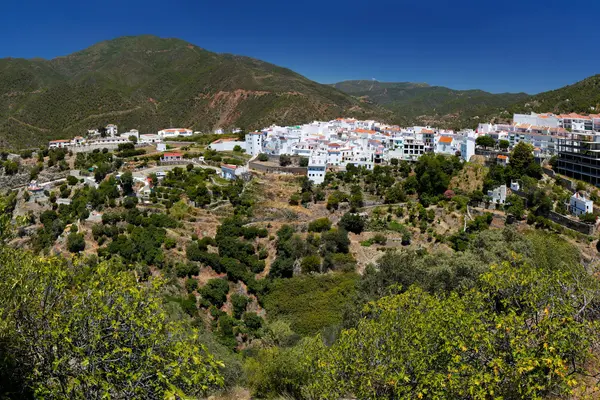 Almazara Views, Forest & Gardens (Costa del sol) , MÁLAGA