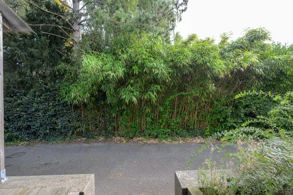 Gedempte Achterburggracht 9, NOORD-SCHARWOUDE