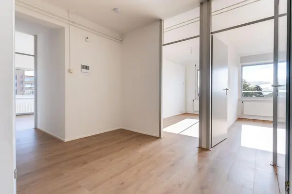 Poolster 241, HOORN