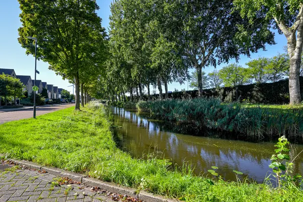 IJsbeer 42, HEERHUGOWAARD