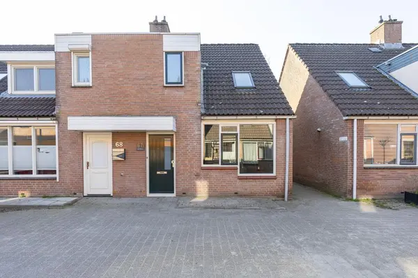 Paardebloem 67