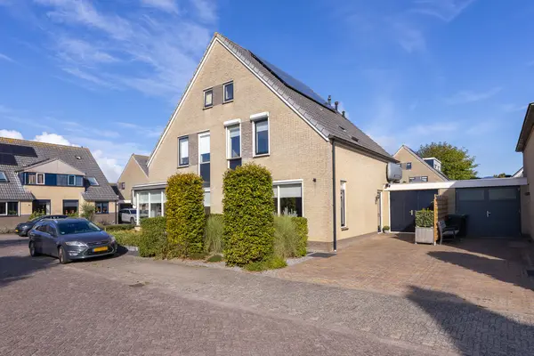 Dorsvlegel 36