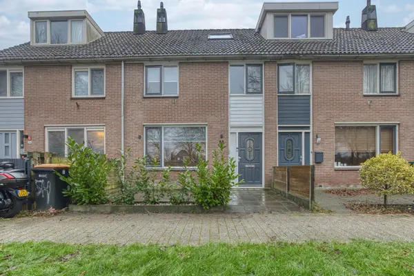 Nachtegaal 55