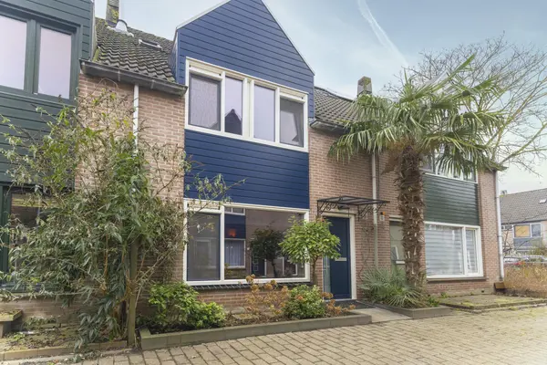 Ridderspoor 33
