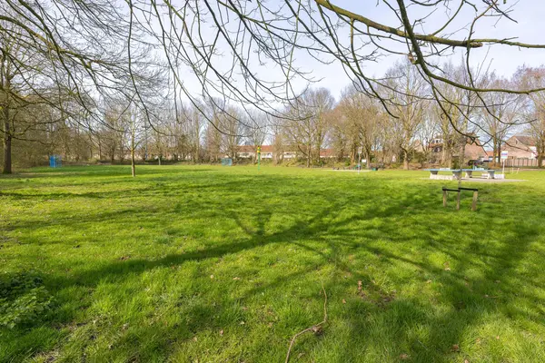 Ceder 85, HOORN