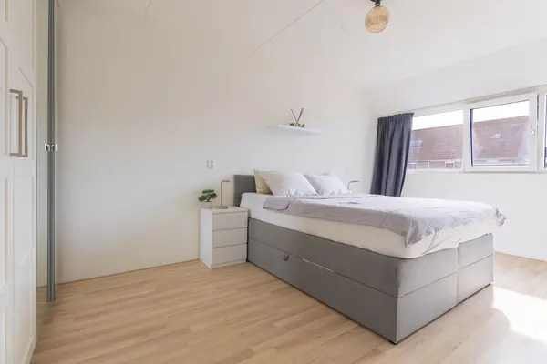 Ceder 85, HOORN