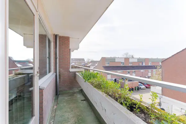 Poolster 193, HOORN