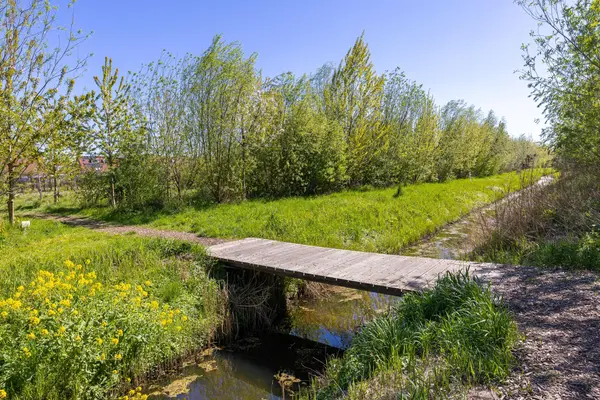 Stijgbeugel 71, ZWAAG