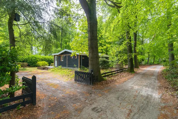 Beukenlaan Z 13