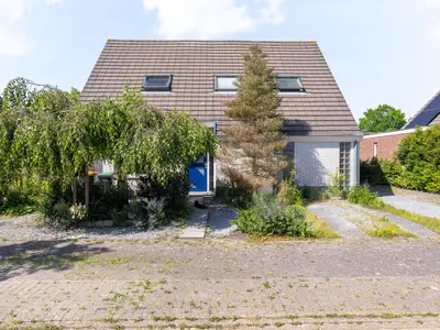 Foto 5 van Koperwiek 4