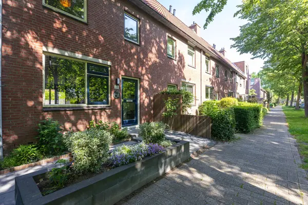 Patio 118