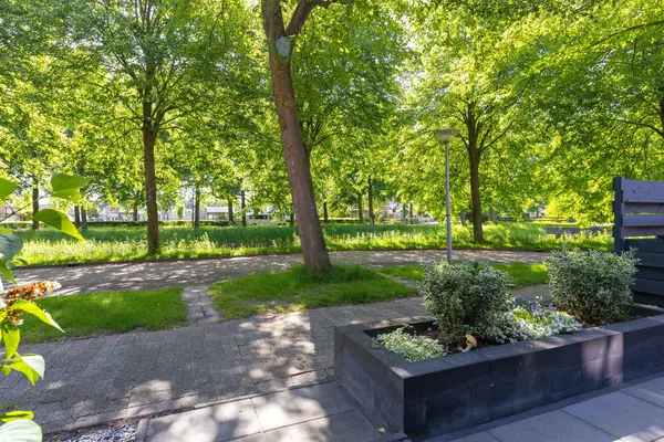 Patio 118, HOORN