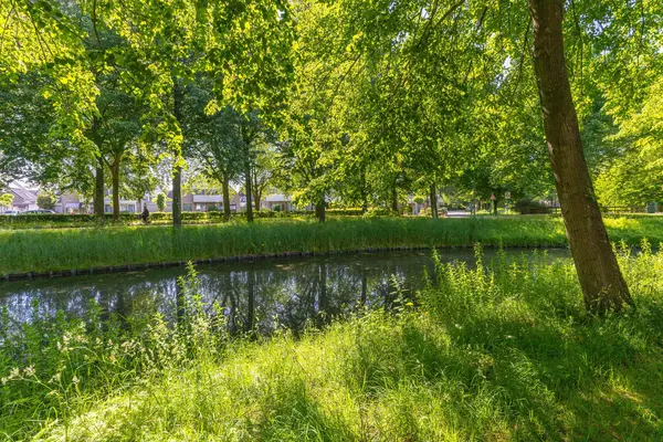 Patio 118, HOORN