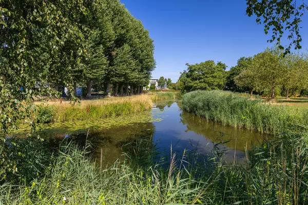 Wieken 10, AVENHORN