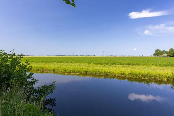 Landrust 5, SPIERDIJK