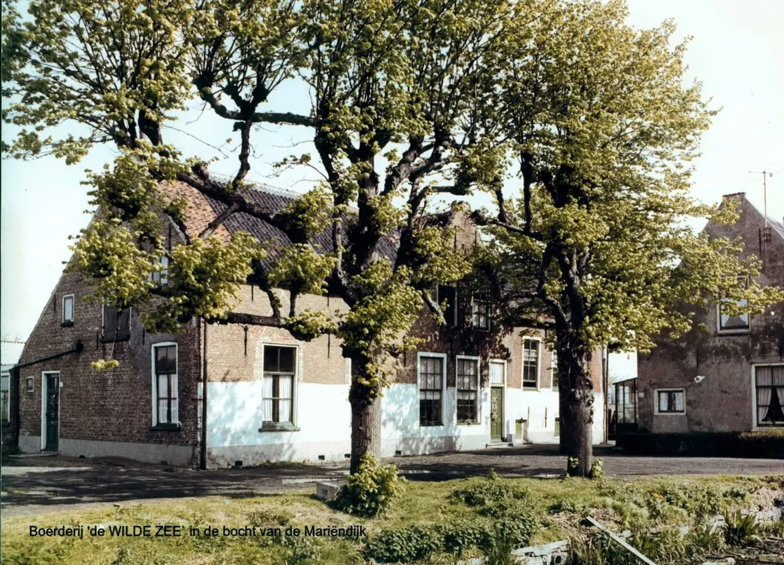 De Wilde Zee Kwintsheul