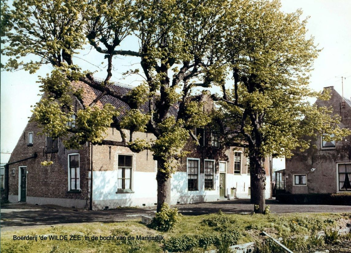 De Wilde Zee Kwintsheul