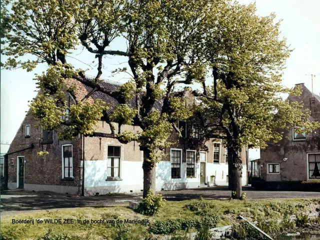 Foto van De Wilde Zee Kwintsheul