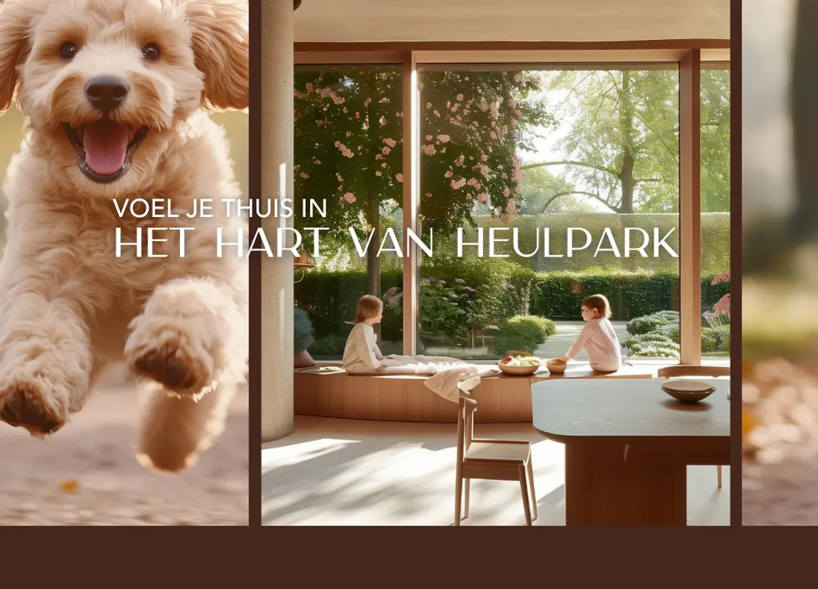 De Wilde Zee Kwintsheul