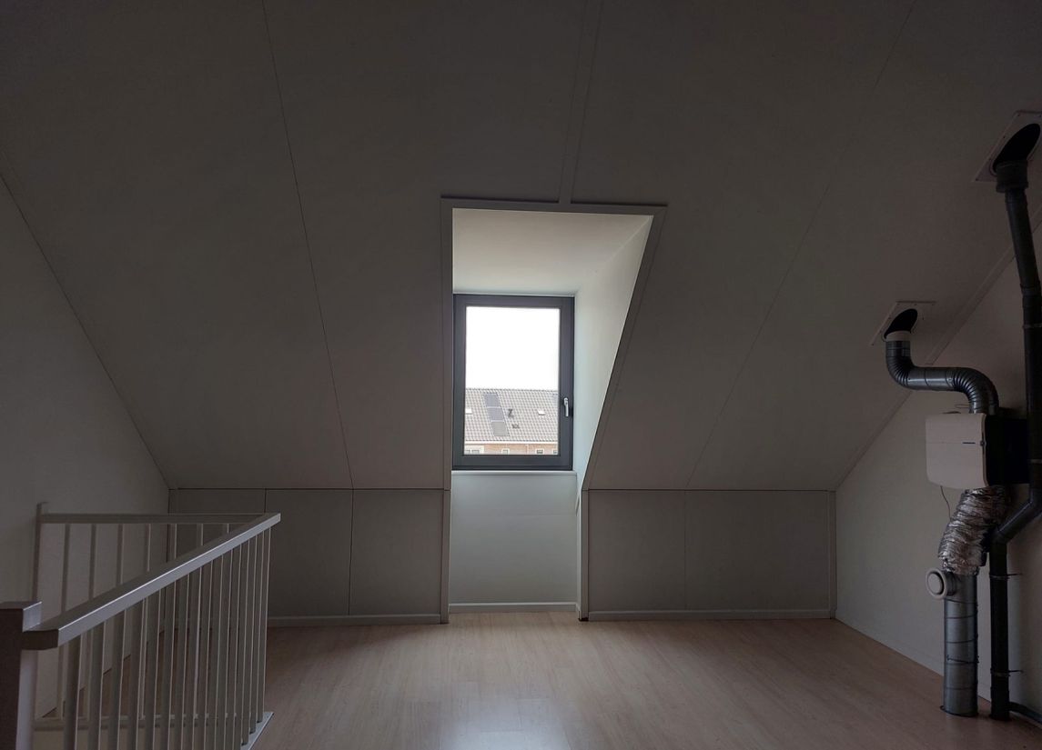 Hermelijn 17