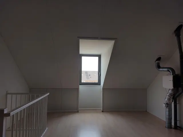Foto van Hermelijn 17