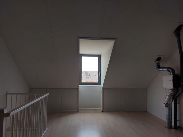 Foto van Hermelijn 17