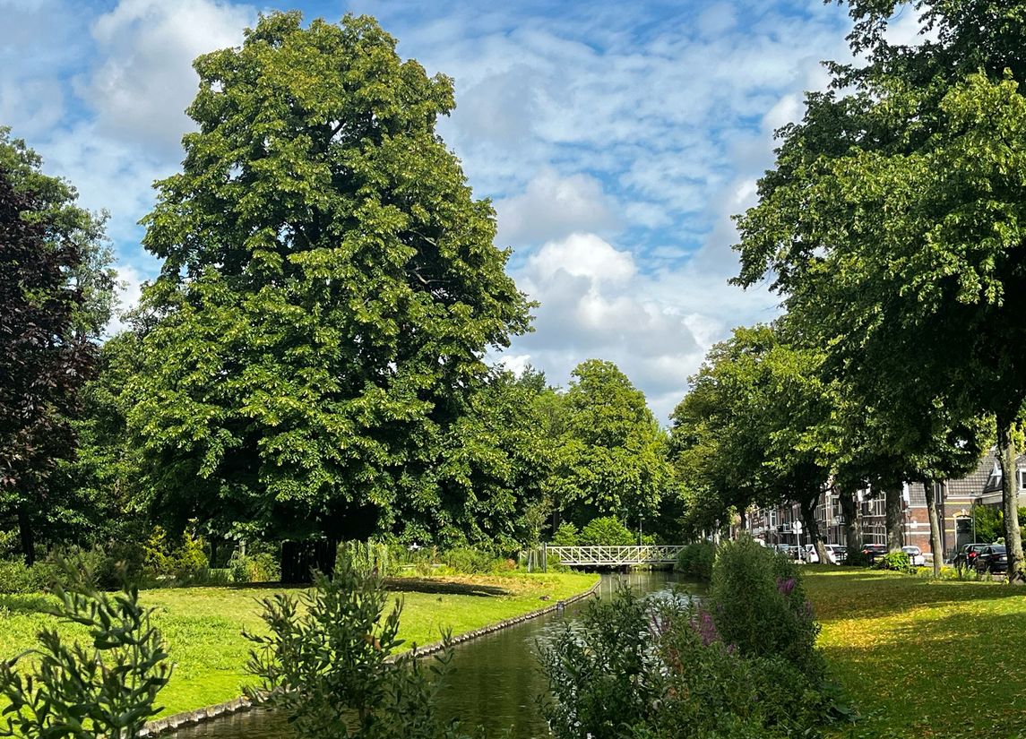 De Proeverij Vlaardingen