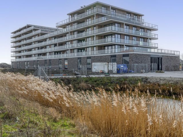 Foto van Korenwolf 10