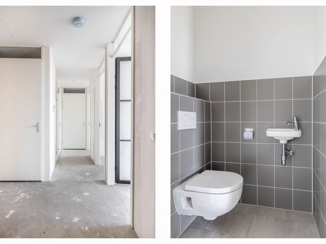 Foto van Korenwolf 10