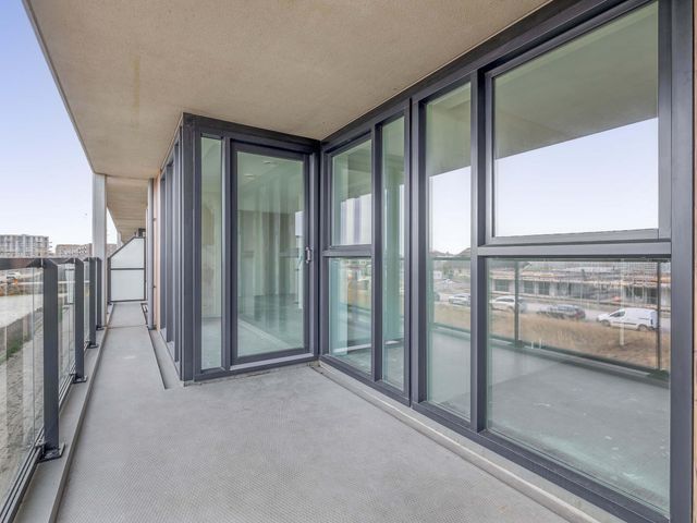 Foto van Korenwolf 10